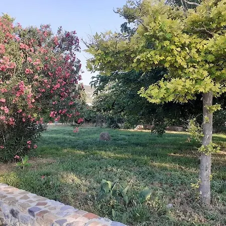 The Architect * Ária