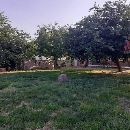 The Architect * Ária