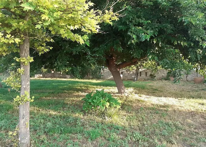 Dom wakacyjny The Architect *