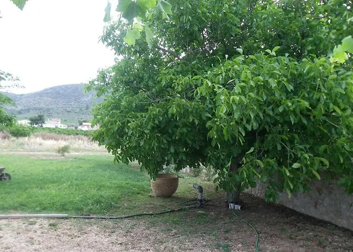 The Architect Dom wakacyjny *