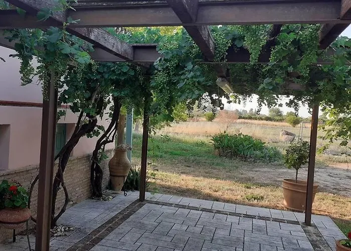 Dom wakacyjny The Architect *