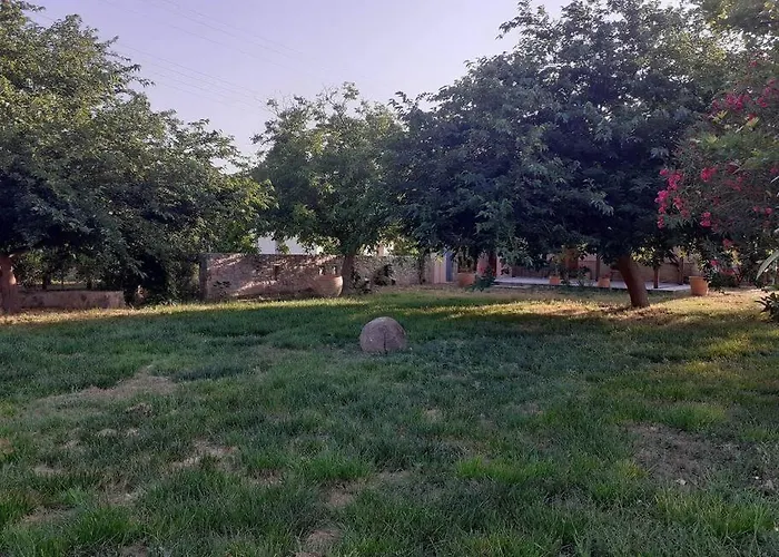 The Architect * Ária